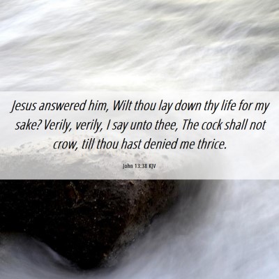 Picture 06 - John 13:38 KJV - Jesus answered him, Wilt thou lay down thy life - Bible Verse Picture