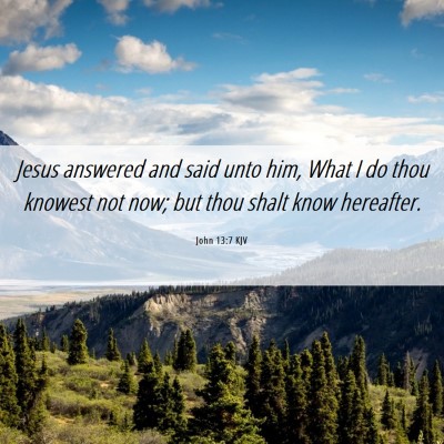 Picture 06 - John 13:7 KJV - Jesus answered and said unto him, What I do thou - Bible Verse Picture