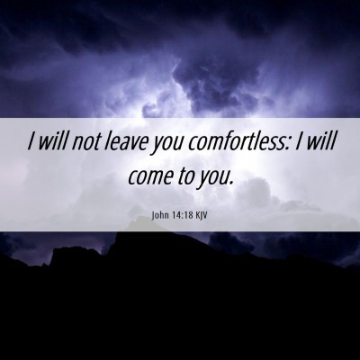 Picture 06 - John 14:18 KJV - I will not leave you comfortless: I will come to - Bible Verse Picture