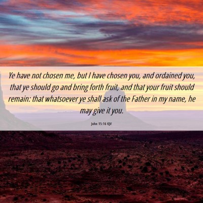 Picture 06 - John 15:16 KJV - Ye have not chosen me, but I have chosen you, and - Bible Verse Picture