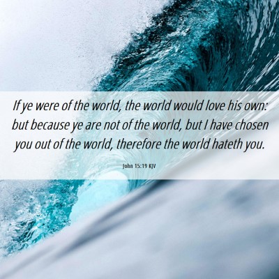 Picture 06 - John 15:19 KJV - If ye were of the world, the world would love his - Bible Verse Picture