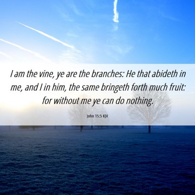 Picture 06 - John 15:5 KJV - I am the vine, ye are the branches: He that - Bible Verse Picture