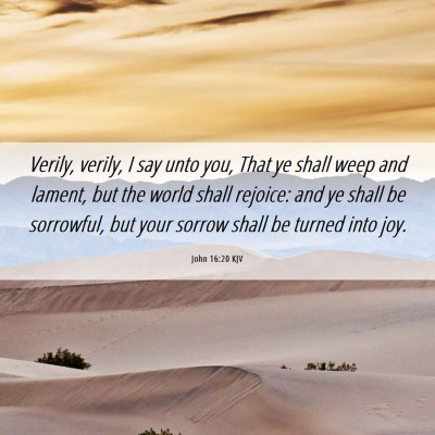 Picture 06 - John 16:20 KJV - Verily, verily, I say unto you, That ye shall - Bible Verse Picture