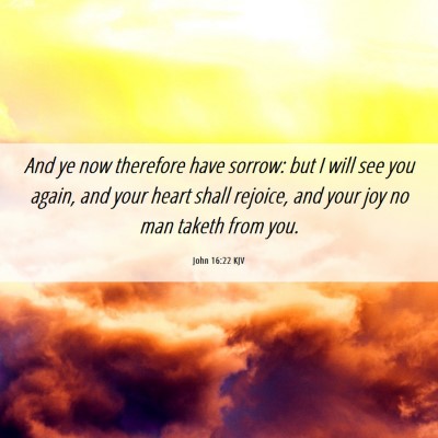 Picture 06 - John 16:22 KJV - And ye now therefore have sorrow: but I will see - Bible Verse Picture
