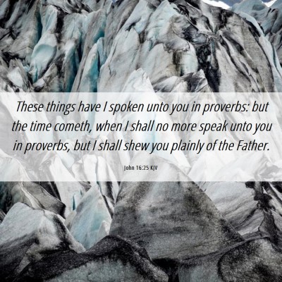 Picture 06 - John 16:25 KJV - These things have I spoken unto you in proverbs: - Bible Verse Picture