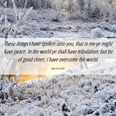 Picture 06 - John 16:33 KJV - These things I have spoken unto you, that in me - Bible Verse Picture