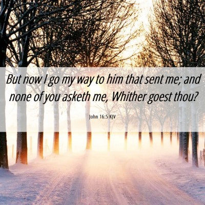 Picture 06 - John 16:5 KJV - But now I go my way to him that sent me; and none - Bible Verse Picture