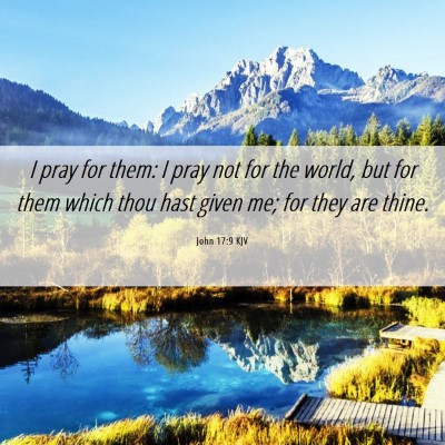 Picture 06 - John 17:9 KJV - I pray for them: I pray not for the world, but - Bible Verse Picture