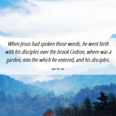 Picture 06 - John 18:1 KJV - When Jesus had spoken these words, he went forth - Bible Verse Picture