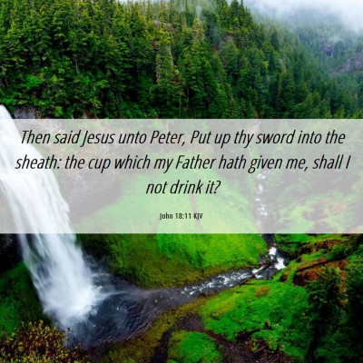 Picture 06 - John 18:11 KJV - Then said Jesus unto Peter, Put up thy sword into - Bible Verse Picture