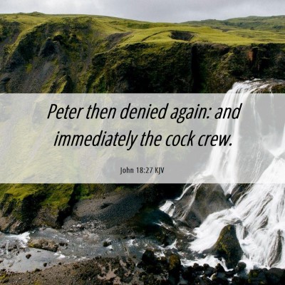 Picture 06 - John 18:27 KJV - Peter then denied again: and immediately the cock - Bible Verse Picture