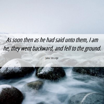 Picture 06 - John 18:6 KJV - As soon then as he had said unto them, I am he, - Bible Verse Picture