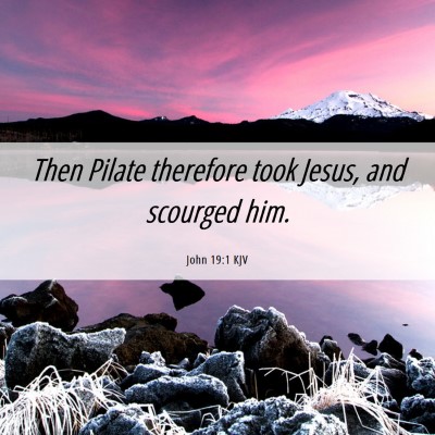 Picture 06 - John 19:1 KJV - Then Pilate therefore took Jesus, and scourged - Bible Verse Picture