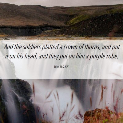 Picture 06 - John 19:2 KJV - And the soldiers platted a crown of thorns, and - Bible Verse Picture