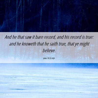 Picture 06 - John 19:35 KJV - And he that saw it bare record, and his record is - Bible Verse Picture