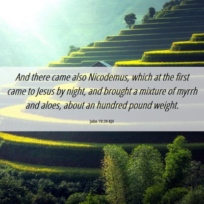 Picture 06 - John 19:39 KJV - And there came also Nicodemus, which at the first - Bible Verse Picture
