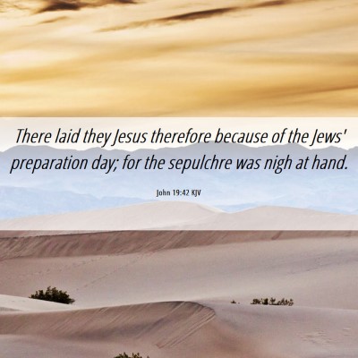 Picture 06 - John 19:42 KJV - There laid they Jesus therefore because of the - Bible Verse Picture