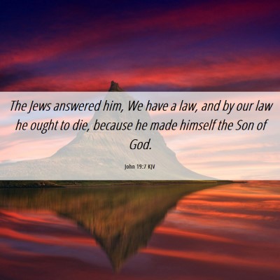 Picture 06 - John 19:7 KJV - The Jews answered him, We have a law, and by our - Bible Verse Picture