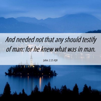 Picture 06 - John 2:25 KJV - And needed not that any should testify of man: - Bible Verse Picture
