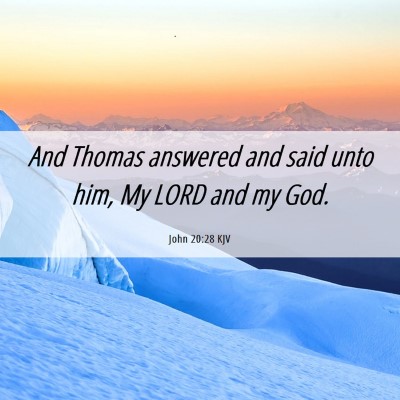 Picture 06 - John 20:28 KJV - And Thomas answered and said unto him, My LORD - Bible Verse Picture
