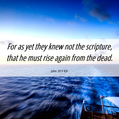 Picture 06 - John 20:9 KJV - For as yet they knew not the scripture, that he - Bible Verse Picture