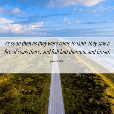 Picture 06 - John 21:9 KJV - As soon then as they were come to land, they saw - Bible Verse Picture