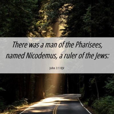 Picture 06 - John 3:1 KJV - There was a man of the Pharisees, named - Bible Verse Picture