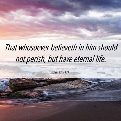 Picture 06 - John 3:15 KJV - That whosoever believeth in him should not - Bible Verse Picture