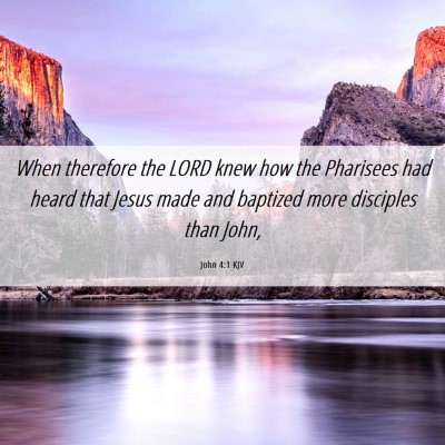 Picture 06 - John 4:1 KJV - When therefore the LORD knew how the Pharisees - Bible Verse Picture