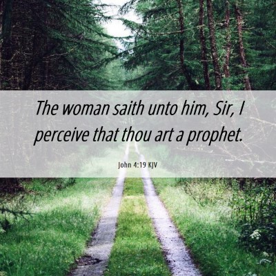 Picture 06 - John 4:19 KJV - The woman saith unto him, Sir, I perceive that - Bible Verse Picture