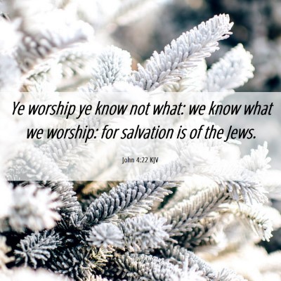 Picture 06 - John 4:22 KJV - Ye worship ye know not what: we know what we - Bible Verse Picture