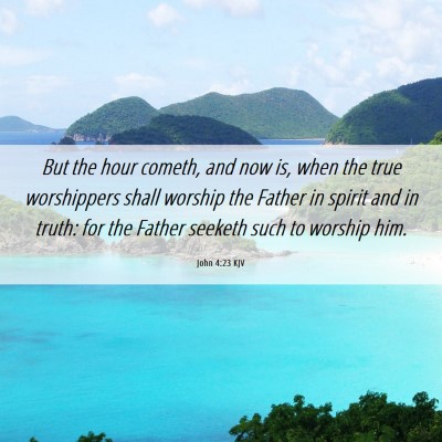 Picture 06 - John 4:23 KJV - But the hour cometh, and now is, when the true - Bible Verse Picture