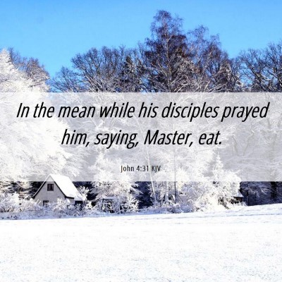 Picture 06 - John 4:31 KJV - In the mean while his disciples prayed him, - Bible Verse Picture