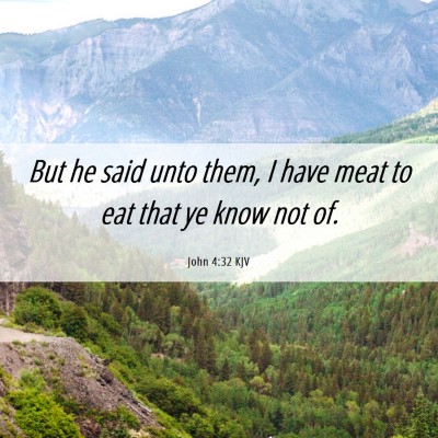 Picture 06 - John 4:32 KJV - But he said unto them, I have meat to eat that ye - Bible Verse Picture