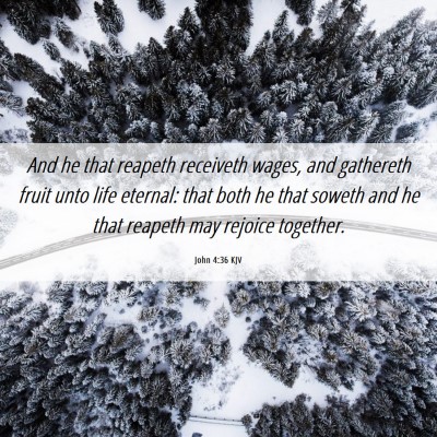 Picture 06 - John 4:36 KJV - And he that reapeth receiveth wages, and - Bible Verse Picture