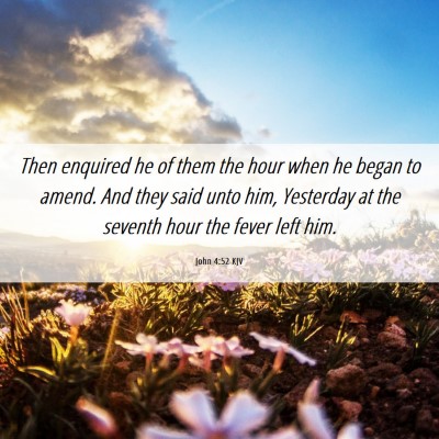 Picture 06 - John 4:52 KJV - Then enquired he of them the hour when he began - Bible Verse Picture
