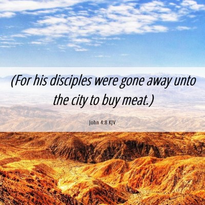 Picture 06 - John 4:8 KJV - (For his disciples were gone away unto the city - Bible Verse Picture