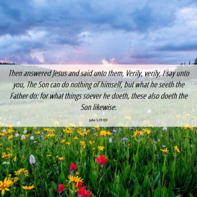 Picture 06 - John 5:19 KJV - Then answered Jesus and said unto them, Verily, - Bible Verse Picture