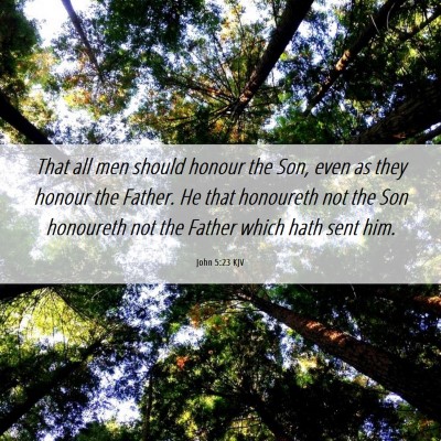 Picture 06 - John 5:23 KJV - That all men should honour the Son, even as they - Bible Verse Picture