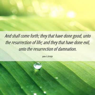 Picture 06 - John 5:29 KJV - And shall come forth; they that have done good, - Bible Verse Picture