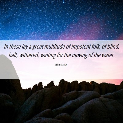 Picture 06 - John 5:3 KJV - In these lay a great multitude of impotent folk, - Bible Verse Picture