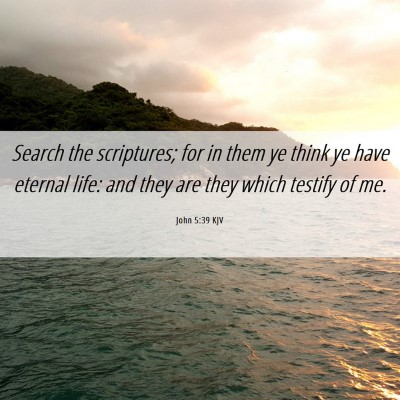 Picture 06 - John 5:39 KJV - Search the scriptures; for in them ye think ye - Bible Verse Picture