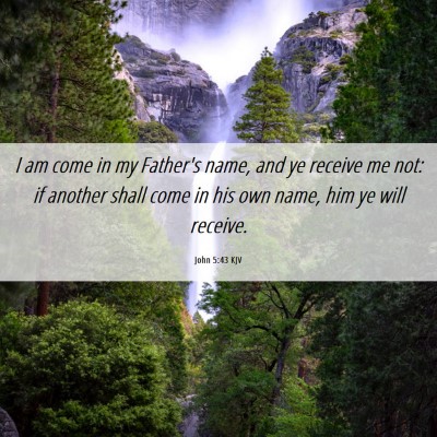 Picture 06 - John 5:43 KJV - I am come in my Father's name, and ye receive me - Bible Verse Picture