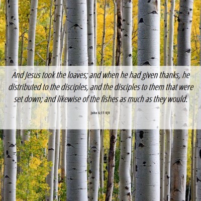 Picture 06 - John 6:11 KJV - And Jesus took the loaves; and when he had given - Bible Verse Picture