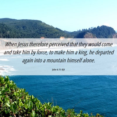 Picture 06 - John 6:15 KJV - When Jesus therefore perceived that they would - Bible Verse Picture
