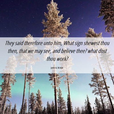 Picture 06 - John 6:30 KJV - They said therefore unto him, What sign shewest - Bible Verse Picture