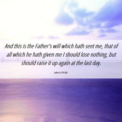 Picture 06 - John 6:39 KJV - And this is the Father's will which hath sent me, - Bible Verse Picture