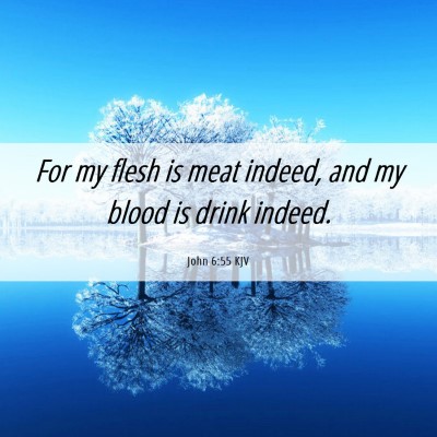 Picture 06 - John 6:55 KJV - For my flesh is meat indeed, and my blood is - Bible Verse Picture