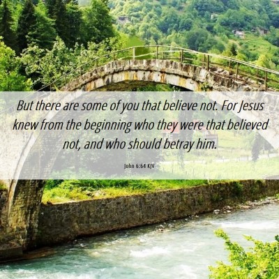 Picture 06 - John 6:64 KJV - But there are some of you that believe not. For - Bible Verse Picture
