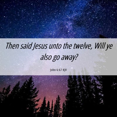 Picture 06 - John 6:67 KJV - Then said Jesus unto the twelve, Will ye also go - Bible Verse Picture